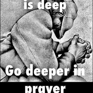 Meet your Posher, Harry